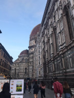 Report about passage of studies at the University of Florence, Florence, Italy under the program of academic mobility