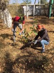 Scientific - Research Student Club "Eco Life" took part in tree planting