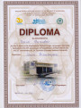 International online foreign languages Olympiad